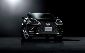 Черный автомобиль Lexus NX 300 F Sport, 2018 вид спереди