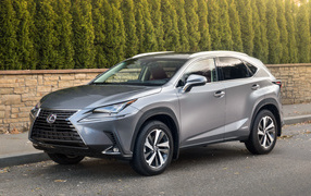 Серебристый внедорожник Lexus NX 300h, 2017 на фоне леса