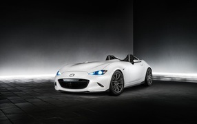 Стильный белый автомобиль Mazda MX-5 Speedster Evolution