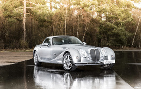 Серебристый автомобиль  Mitsuoka Roadster