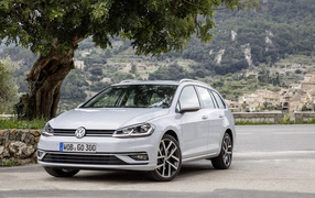 Серебристый Volkswagen Golf TDI Variant Worldwide (Typ 5G), 2017 под деревом 