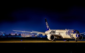 Самолет Boeing 787 в аэропорту 