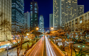 Tokyo's nightly vibrant city 