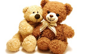 Два плюшевых медвежонка на белом фоне