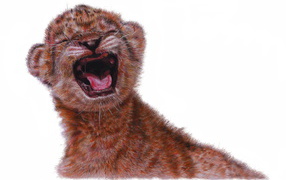 Нарисованный маленький львенок на белом фоне