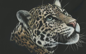 Нарисованная морда леопарда