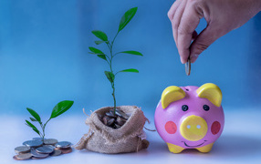 Свинья копилка и мешочек монет с денежным деревом на голубом фоне