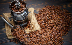 Жареные кофейные зерна с кофемолкой на столе
