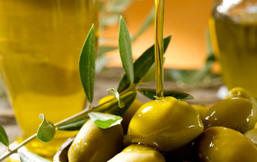 Green olives with olive oil