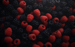 Appetizing fresh raspberries and blackberries