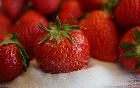 Appetizing ripe strawberry with sugar