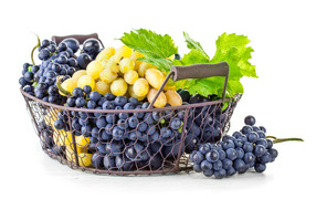 Basket of blue and white grapes on a white background