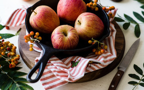 Красивые красные яблоки на сковороде с ягодами рябины