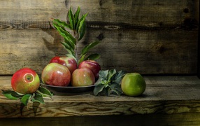 Beautiful red apples on a wooden bench