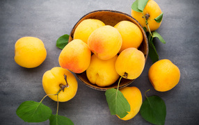 Large fresh yellow apricots on the table