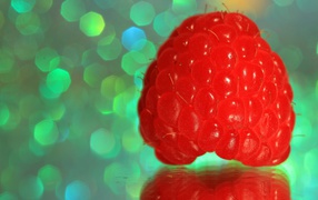 Большая сочная ягода малина крупным планом 