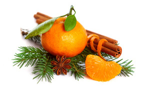 Mandarin with a spruce branch, cinnamon and an apple in a white background
