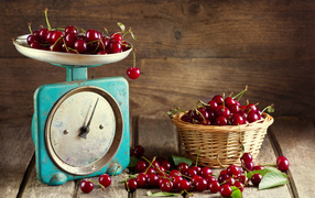Ripe cherries are weighed on old scales