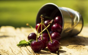 Спелые вишни в капельках воды  на столе с маленьким железным ведерком