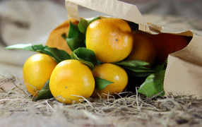 Ripe mandarins in a paper bag