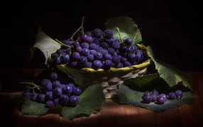 Round blue grapes in a basket on the table