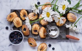 Appetizing biscuits with blueberries and powdered sugar on a table with white daisies