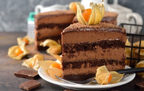 Кусок шоколадного торта с ягодами физалиса