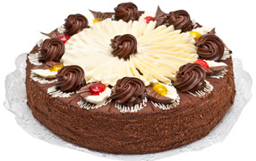 Аппетитный торт с шоколадным кремом на белом фоне