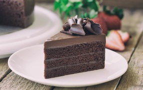 Appetizing piece of chocolate cake