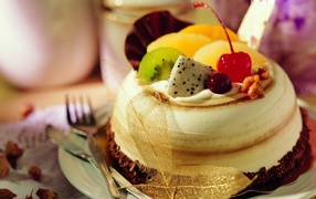 Beautiful cake with chocolate and fruits