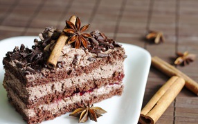 Cake with chocolate, badan and cinnamon
