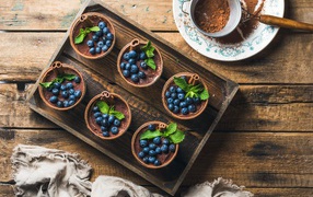 Chocolate dessert with cinnamon and blueberries