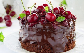Chocolate dessert with fresh cherries