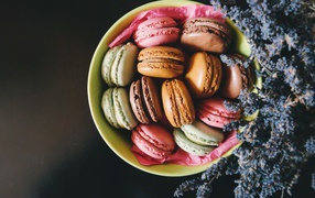 Multicolored macaroons in a plate