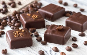 Square chocolate sweets with coffee beans