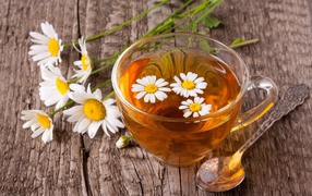 Стеклянная чашка чая с ромашкой