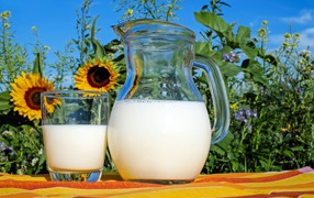 Стеклянный кувшин свежего молока со стаканом на столе