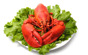 Boiled lobster on a plate with lettuce on a white background