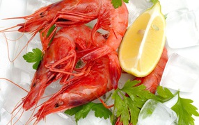 Boiled shrimp with lemon and ice slices