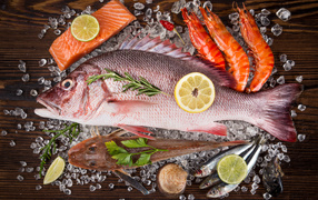 Свежая рыба с креветками и кусочками лимона лежит на кусочках льда