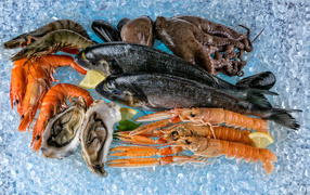 Seafood shrimp, fish, mussels lie on ice