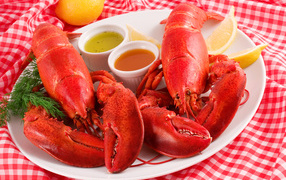 Two boiled lobster on a plate with sauce