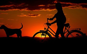Девушка с велосипедом гуляет с собакой на закате солнца