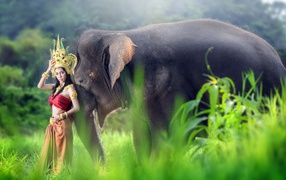 Девушка азиатка в красивом костюме с большим серым слоном