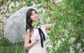 Красивая девушка азиатка с прозрачным зонтом