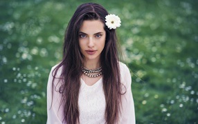 Красивая голубоглазая брюнетка с белым цветком в волосах