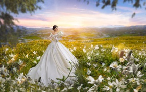 Beautiful bride girl in white dress in a field with white flowers