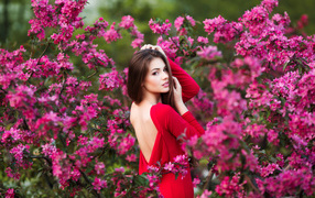 Красивая молодая девушка в красном платье на фоне розовых цветов