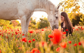 Beautiful young girl with a horse on a field covered with red poppies