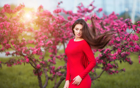 Lovely brown-haired woman in a red dress against the background of a flowering tree